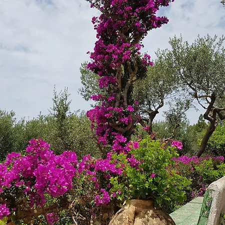 Il Rifugio Capri 3*