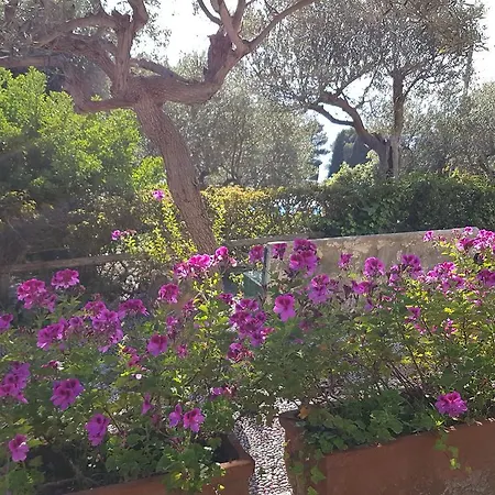 Alojamento de Acomodação e Pequeno-almoço Il Rifugio Capri