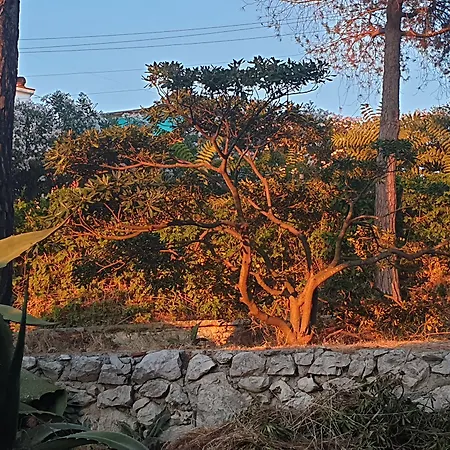 Il Rifugio Capri 3* Anacapri (Isola di Capri)