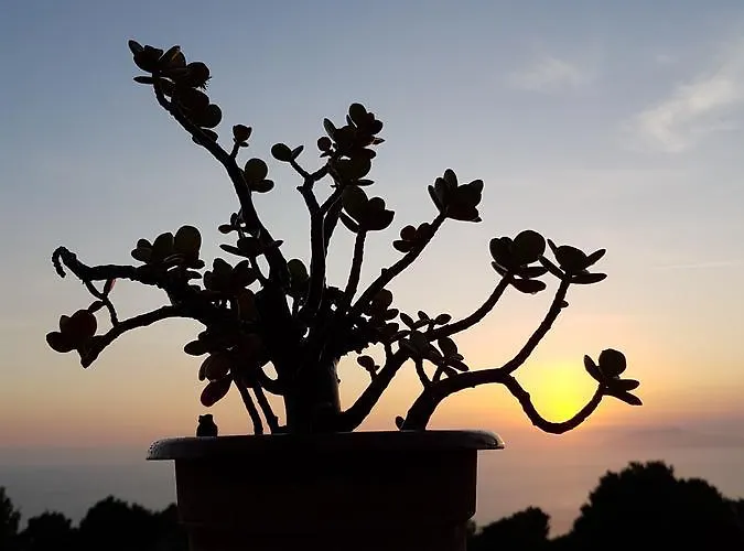 Il Rifugio Capri 3* Anacapri (Isola di Capri)
