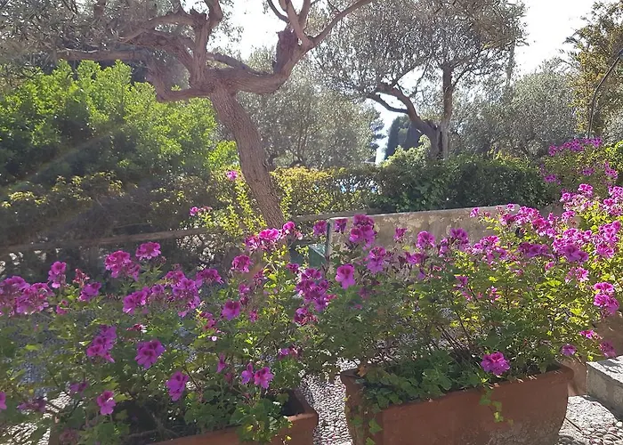 Bed and Breakfast Il Rifugio Capri